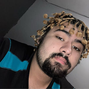 Meet your Posher, Dakota